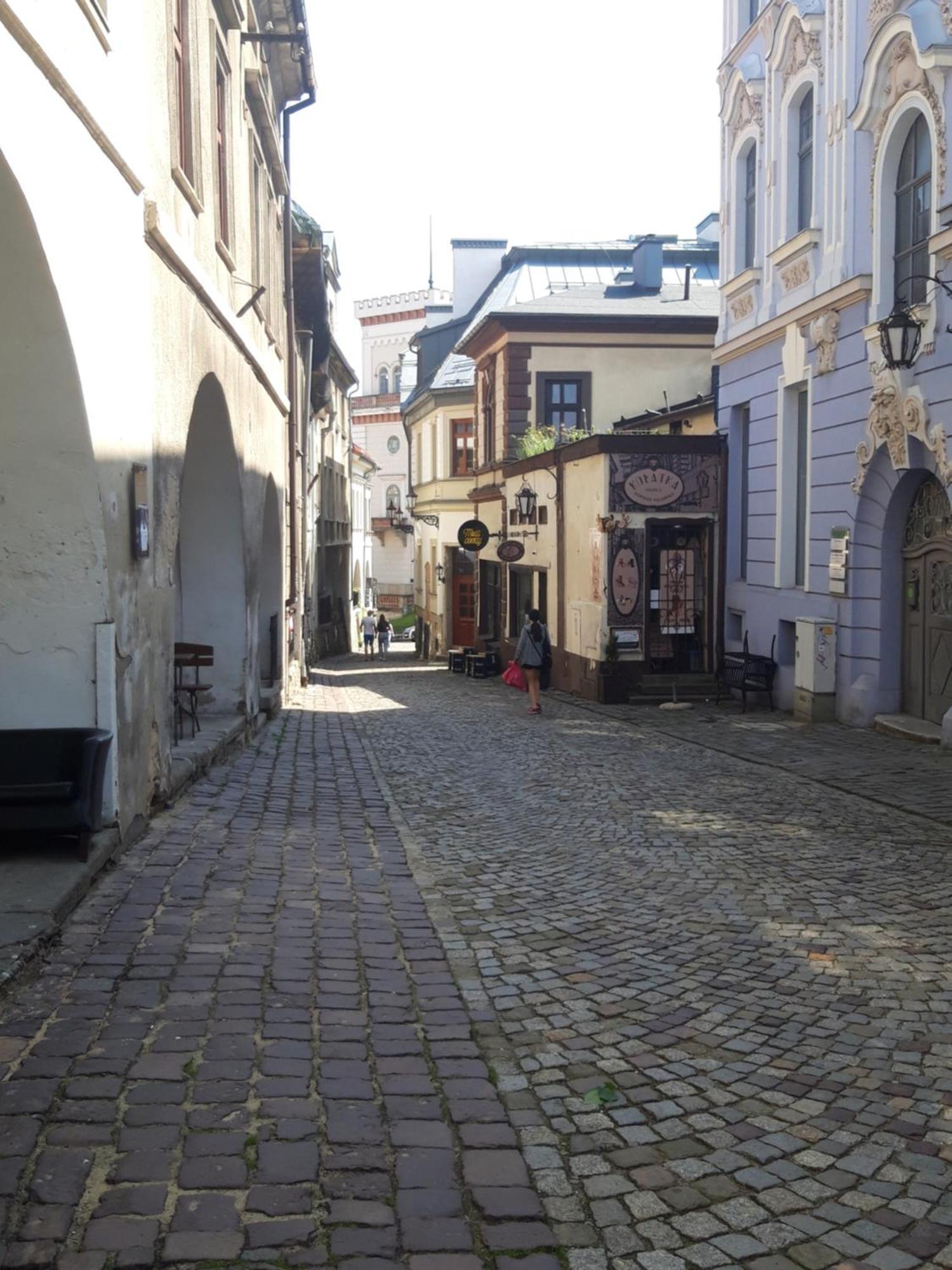Apartamenty Orkana Bielsko-Biala Exterior foto